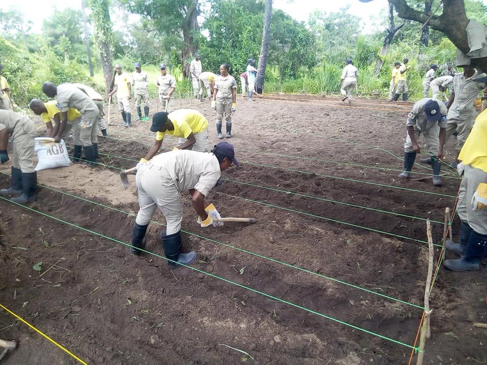 Formation des jeunes à l'agroécologie, l'agroforesterie et Micro irrigation